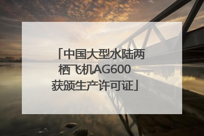 中国大型水陆两栖飞机AG600获颁生产许可证
