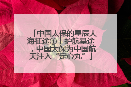 中国太保的星辰大海征途①丨护航星途，中国太保为中国航天注入“定心丸”