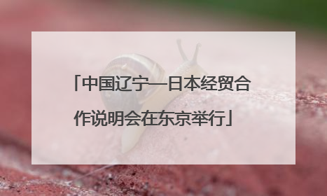 中国辽宁—日本经贸合作说明会在东京举行
