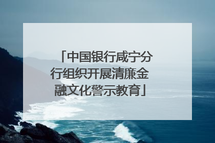 中国银行咸宁分行组织开展清廉金融文化警示教育