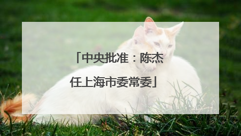 中央批准：陈杰任上海市委常委