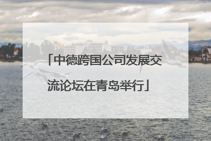 中德跨国公司发展交流论坛在青岛举行