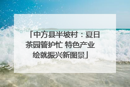 中方县半坡村：夏日茶园管护忙 特色产业绘就振兴新图景