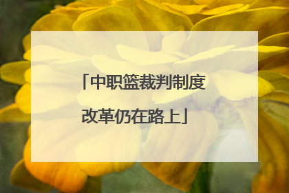 中职篮裁判制度改革仍在路上