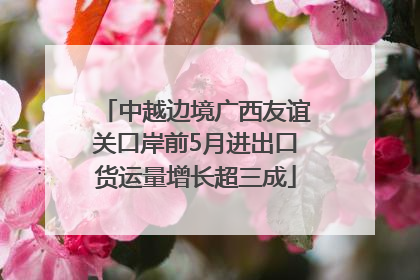 中越边境广西友谊关口岸前5月进出口货运量增长超三成