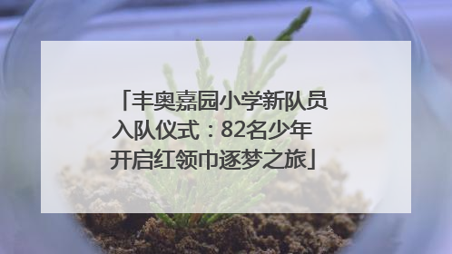 丰奥嘉园小学新队员入队仪式：82名少年开启红领巾逐梦之旅