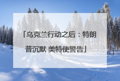 乌克兰行动之后：特朗普沉默 美特使警告