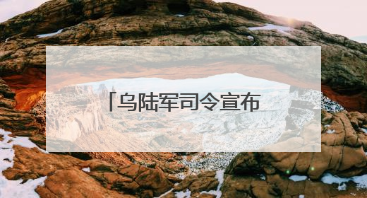 乌陆军司令宣布辞职！第二轮谈判在即，泽连斯基提出三大核心诉求！乌方透露摧毁41架俄战略轰炸机