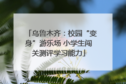 乌鲁木齐：校园“变身”游乐场 小学生闯关测评学习能力