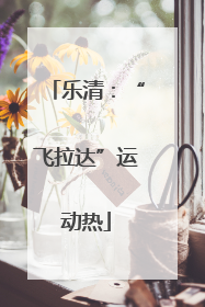 乐清：“飞拉达”运动热