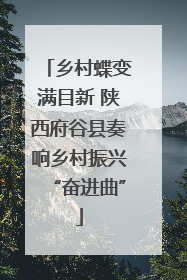 乡村蝶变满目新 陕西府谷县奏响乡村振兴“奋进曲”