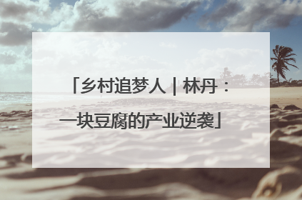 乡村追梦人｜林丹：一块豆腐的产业逆袭