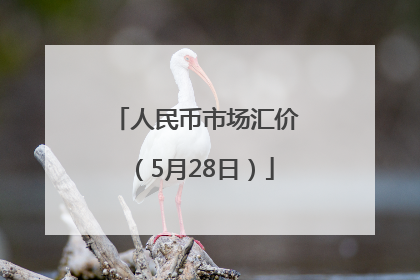 人民币市场汇价（5月28日）