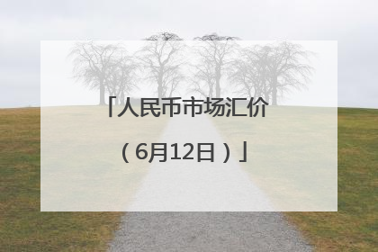 人民币市场汇价（6月12日）
