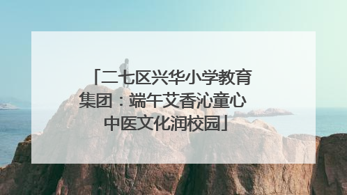 二七区兴华小学教育集团：端午艾香沁童心 中医文化润校园