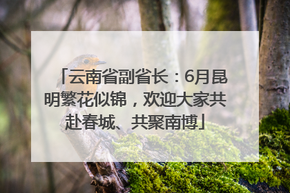 云南省副省长：6月昆明繁花似锦，欢迎大家共赴春城、共聚南博