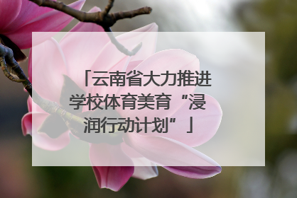 云南省大力推进学校体育美育“浸润行动计划”