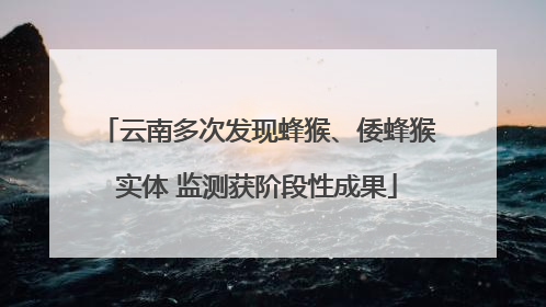 云南多次发现蜂猴、倭蜂猴实体 监测获阶段性成果