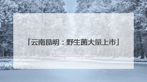 云南昆明：野生菌大量上市