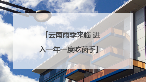 云南雨季来临 进入一年一度吃菌季
