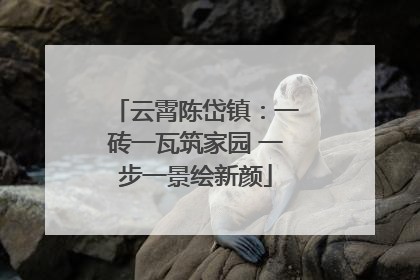 云霄陈岱镇：一砖一瓦筑家园 一步一景绘新颜