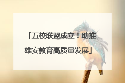 五校联盟成立！助推雄安教育高质量发展