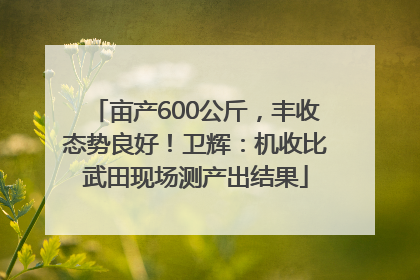 亩产600公斤，丰收态势良好！卫辉：机收比武田现场测产出结果