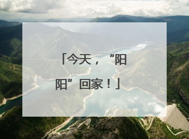 今天，“阳阳”回家！