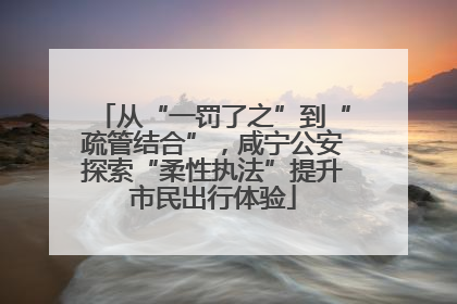 从“一罚了之”到“疏管结合”，咸宁公安探索“柔性执法”提升市民出行体验