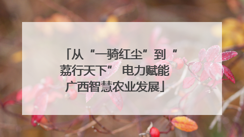 从“一骑红尘”到“荔行天下” 电力赋能广西智慧农业发展