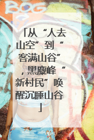 从“人去山空”到“客满山谷”，黑麋峰“新村民”唤醒沉睡山谷