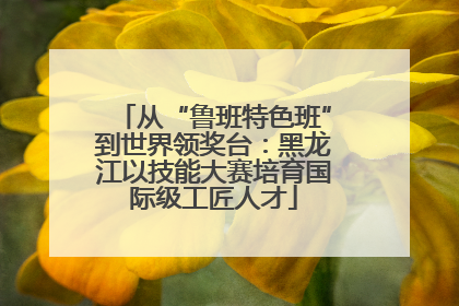 从“鲁班特色班”到世界领奖台：黑龙江以技能大赛培育国际级工匠人才