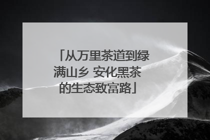 从万里茶道到绿满山乡 安化黑茶的生态致富路