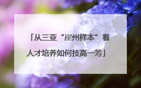 从三亚“崖州样本”看人才培养如何技高一筹