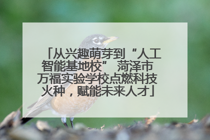 从兴趣萌芽到“人工智能基地校” 菏泽市万福实验学校点燃科技火种，赋能未来人才