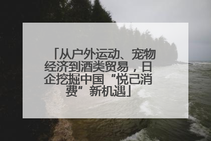 从户外运动、宠物经济到酒类贸易，日企挖掘中国“悦己消费”新机遇