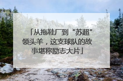 从拖鞋厂到“苏超”领头羊，这支球队的故事堪称励志大片