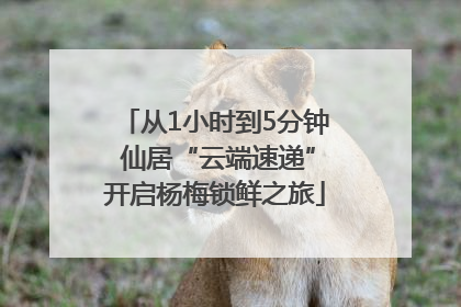 从1小时到5分钟 仙居“云端速递”开启杨梅锁鲜之旅