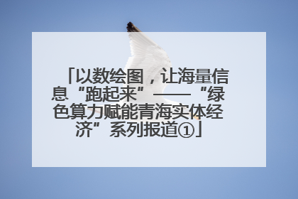 以数绘图，让海量信息“跑起来”——“绿色算力赋能青海实体经济”系列报道①
