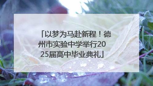 以梦为马赴新程！德州市实验中学举行2025届高中毕业典礼