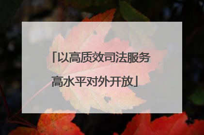以高质效司法服务高水平对外开放