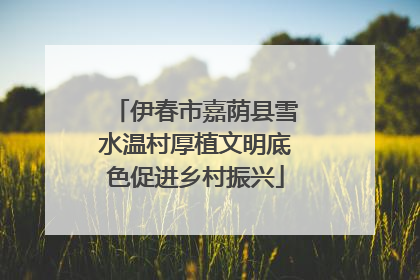伊春市嘉荫县雪水温村厚植文明底色促进乡村振兴