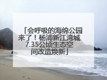 会呼吸的海绵公园来了！杨浦新江湾城7.35公顷生态空间改造焕新