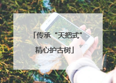 传承“天把式” 精心护古树