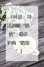 叶县：司法调解“搭桥” 稳企护商“路宽”
