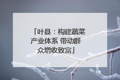 叶县：构建蔬菜产业体系 带动群众增收致富