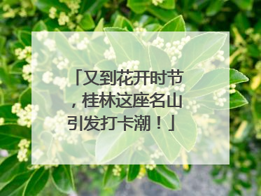 又到花开时节,桂林这座名山引发打卡潮!