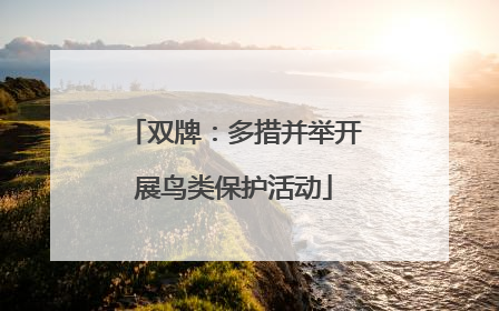 双牌：多措并举开展鸟类保护活动