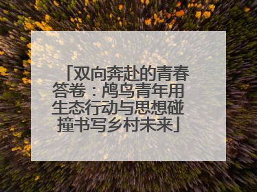 双向奔赴的青春答卷：鸬鸟青年用生态行动与思想碰撞书写乡村未来