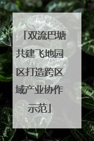 双流巴塘共建飞地园区打造跨区域产业协作示范